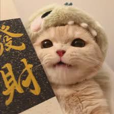 Avatar người dùng Tùng