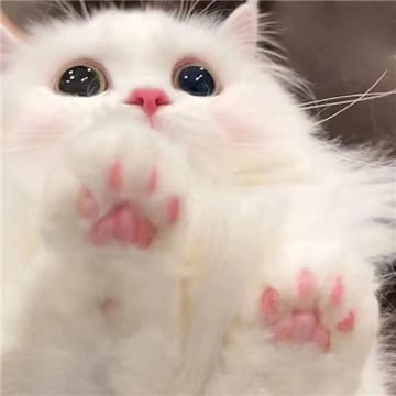 Avatar người dùng Lan